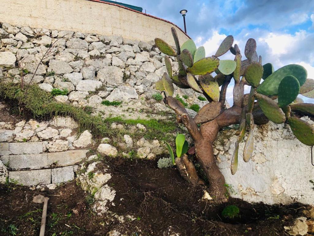 קלטניסטה B&B Tenuta La Puntara מראה חיצוני תמונה