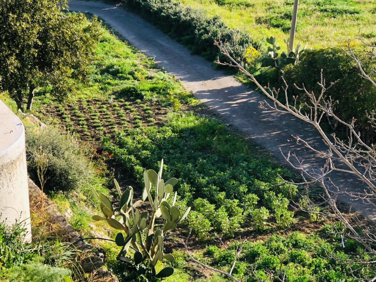 קלטניסטה B&B Tenuta La Puntara מראה חיצוני תמונה