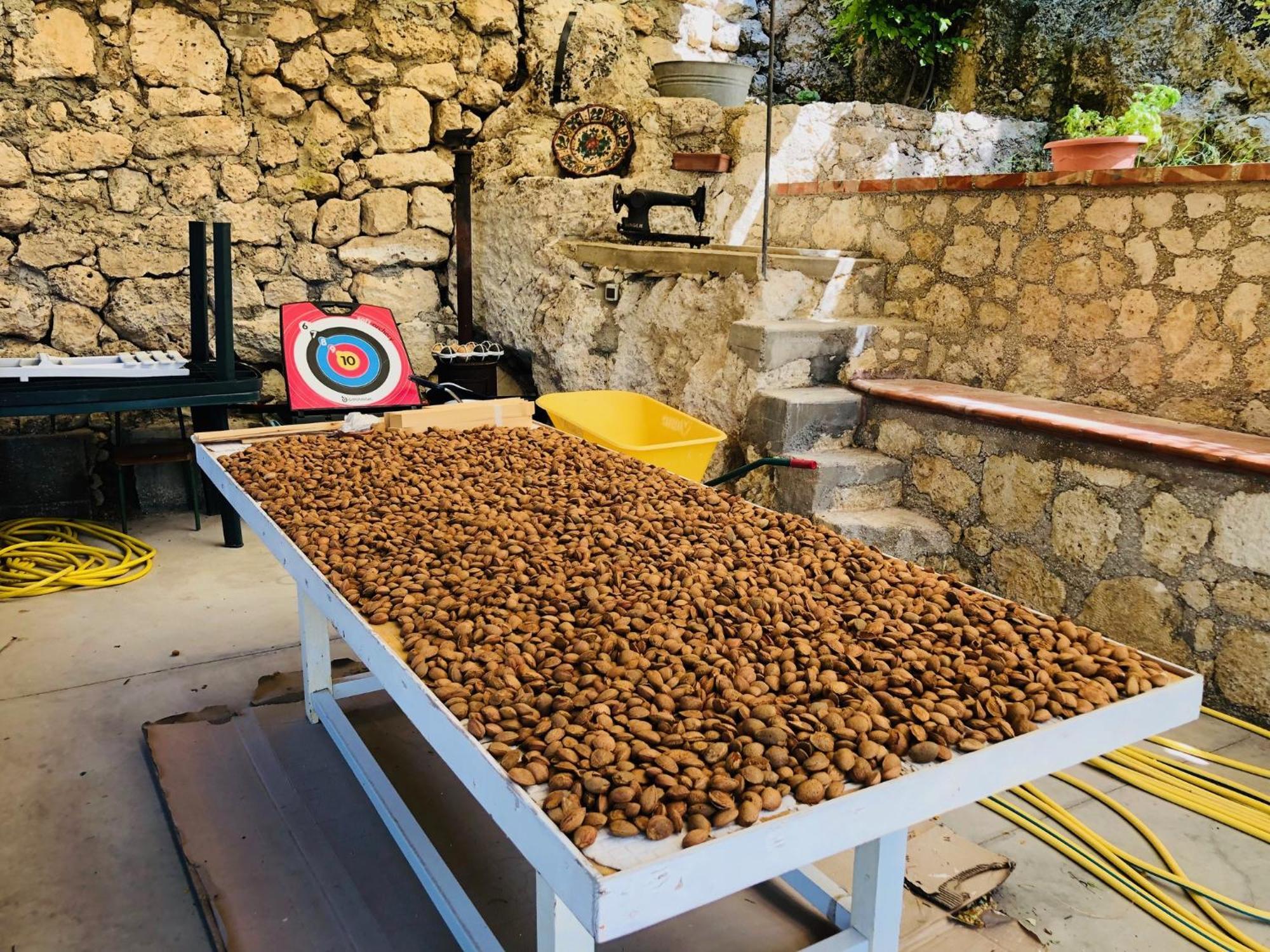 קלטניסטה B&B Tenuta La Puntara מראה חיצוני תמונה
